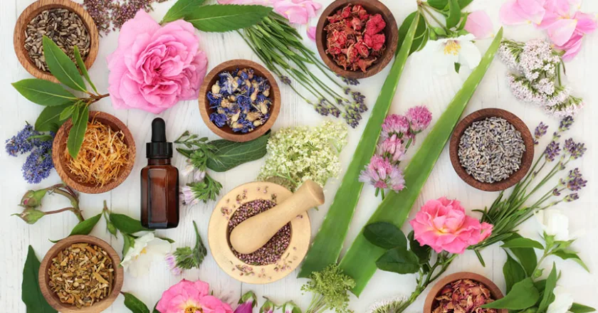 Exploring the Best Organic Skin Care Products in the USA